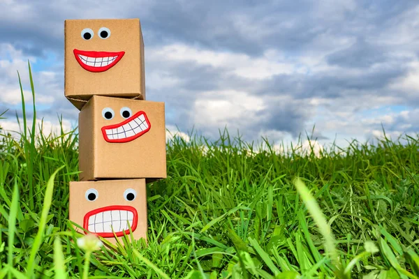 Three corrugated boxes on the grass. Boxes stand on top of each other. Packing of goods. Concept - is waterproof packaging. Box with parcels. Goods in boxes made of cardboard. Container.