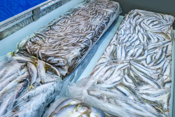 Fish in an industrial refrigerator. Implementation of seafood. Food storage equipment. Freezer. Briquettes frozen fish. Sale of seafood. Fishing industry. Instant freezing of products.