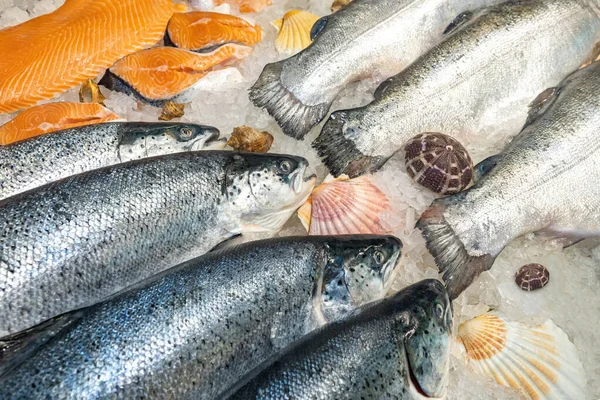Trade in seafood. Fish lying on the ice. Showcase fish shop. Seafood recipes. Whole and butchered salmon on the store counter. Ensuring suitable storage temperature of products.