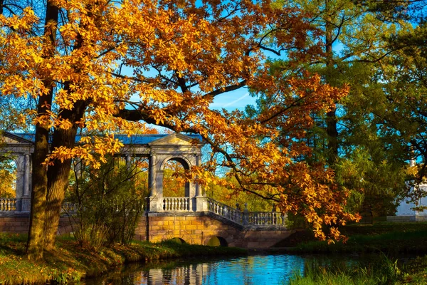 Russia.The city of Pushkin.Saint Petersburg. Golden autumn in Tsarskoye Selo.Excursions in the Catherine Park. Guide in St. Petersburg.Sights of the times of the Russian Empire. Russia in the fall