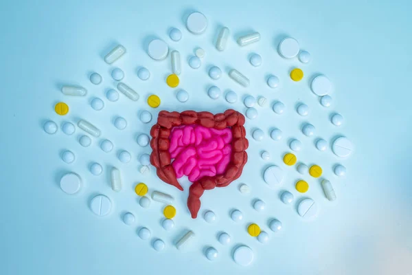 Human intestine surrounded by pills on a white background. Treatment of intestinal diseases. Prevention of dysbacteriosis. The problems with digestion. Probiotics and prebiotics.