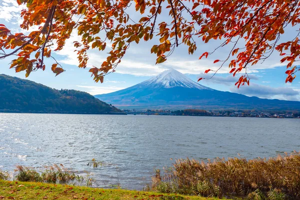 Japan. Kawaguchiko. Island of Honshu. Mount Fuji. Fujisan. Fuji in the autumn. View of the mountain from lake Kawaguchiko. Travel to the reserves of Japan. Landscapes Of East Asia. The Five Lakes.