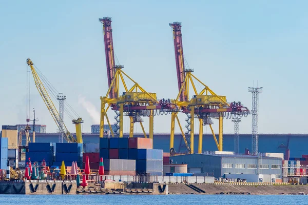 Container cargo terminal. Loading terminal in seaport. Terminal for loading sea containers. Shipping goods by sea. Ocean. Transportation of goods in sea container. Loading cranes at cargo port.