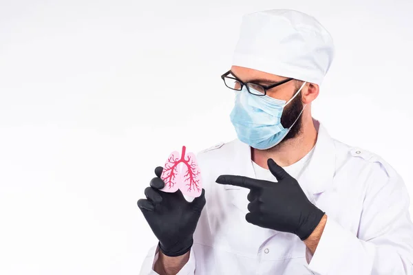 A masked doctor holds a mock-up of the lungs. A doctor in rubber gloves demonstrates a model of a lungs. Treatment of lung diseases. Space for text.