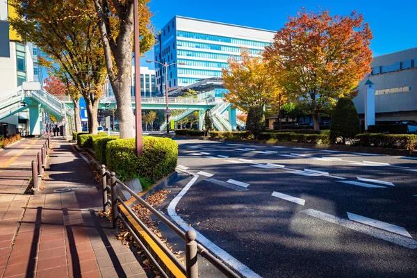 Japan. The Streets Of Kofu. Sunny autumn day in a Japanese city. A deserted city street in Japan. Road, bridge and office building in Kofu city. Japanese Kofu in autumn. Life in Japan.