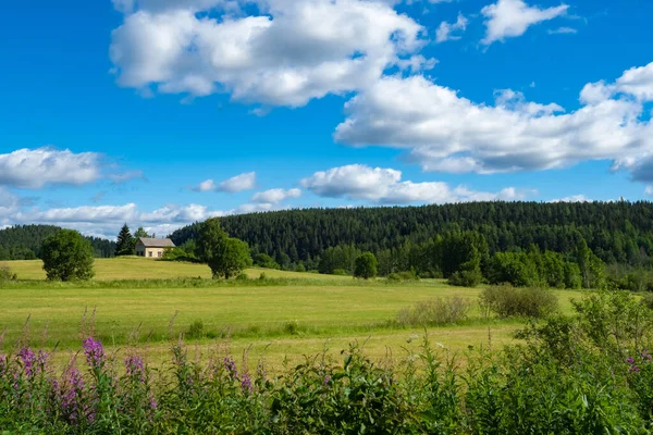 Natural landscape with a house in the distance. Forest and meadows under a blue sky. Natural landscape on a Sunny summer day. Peaceful landscape. Contact with nature. Outdoor recreation.