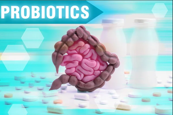 Probiotics are bacteria for intestines. Stomach and intestines of a person next to inscription probiotics. Concept - beneficial microorganisms for the stomach. Gastrointestinal health. Bowel disease