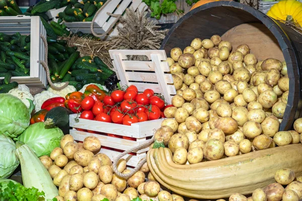 Vegetable still life. Agricultural products. Crop of vegetables in the shop window. Vegetarian food. Agricultural business. Plant growing.