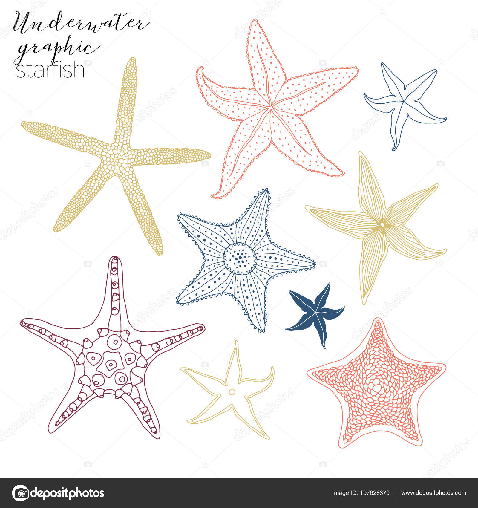 Collection Graphique étoile Mer Vie Aquatique Image