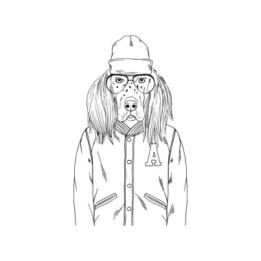 İngiliz seterim portre, moda köpekler