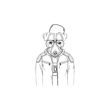 Jack Russell terrier hipster portre, moda köpekler