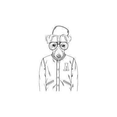 Jack Russell terrier hipster portre, moda köpekler