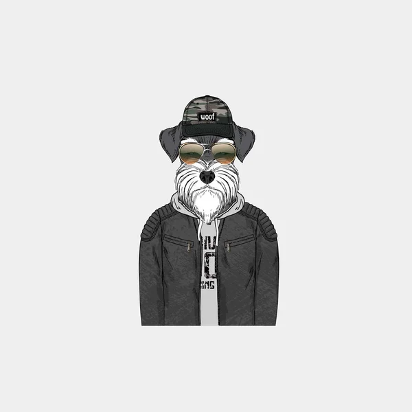 Schnauzer Hipster Retrato Cães Moda —  Vetores de Stock