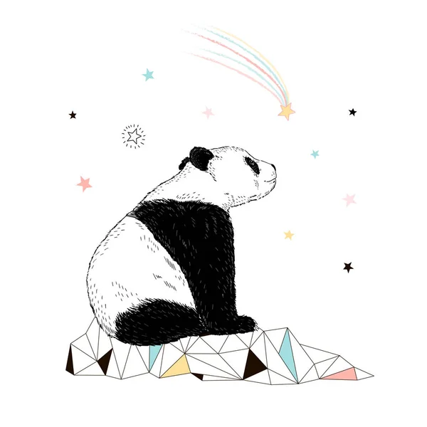 Niedlicher Panda Beobachtet Kometen Lustige Tiere Illustration — Stockvektor