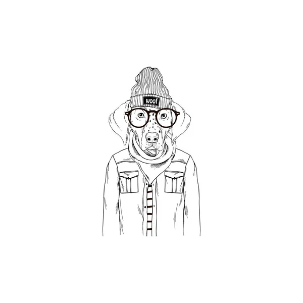 Alemán Corto Puntero Hipster Retrato Perros Moda — Vector de stock