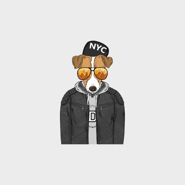 Jack Russell Terrier Hipster Porträt Modehunde — Stockvektor