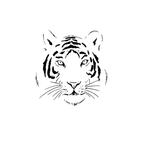 Tigerkopf Tusche Tierdarstellung — Stockvektor