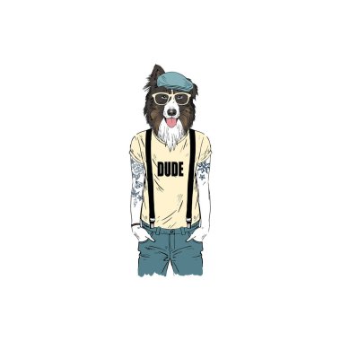 Avustralyalı çoban köpeği hipster, antropomorfik hayvan illüstrasyon
