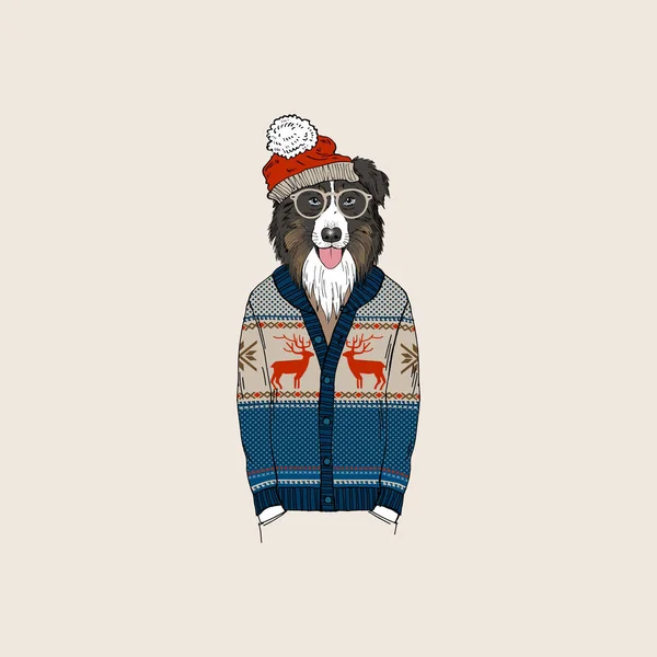 Australian Shepherd Cão Vestido Com Pulôver Jacquard Ilustração Animal Antropomórfica — Vetor de Stock