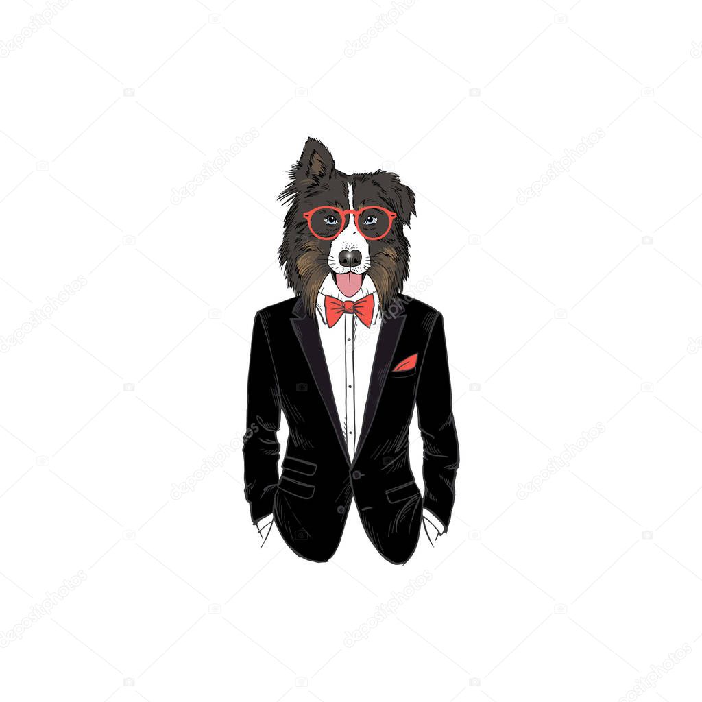 Australian Shepherd dog dressed up  in tuxedo, anthropomorphic animal illustration