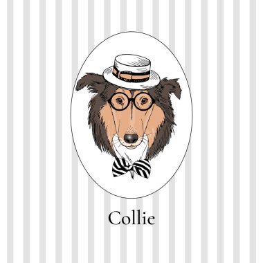 Collie köpek portre retro tarzı