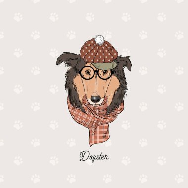 Collie köpek portre vektör çizim