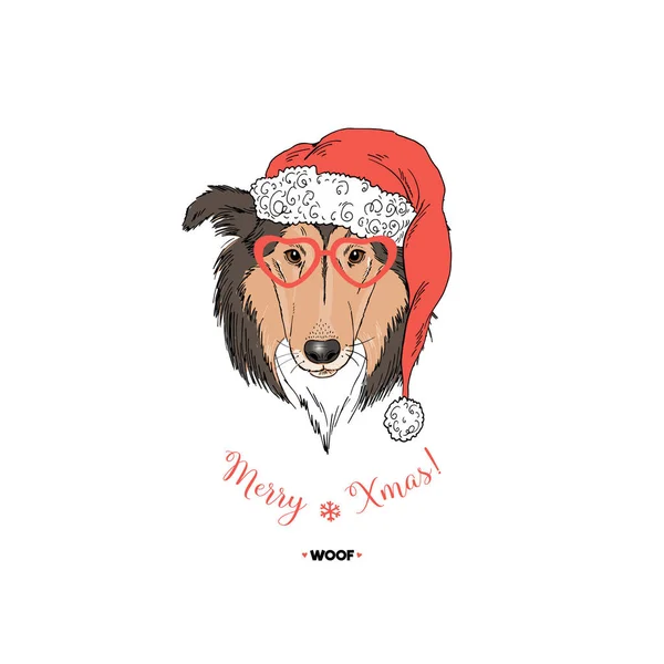 Collie Retrato Perro Sombrero Santa — Vector de stock