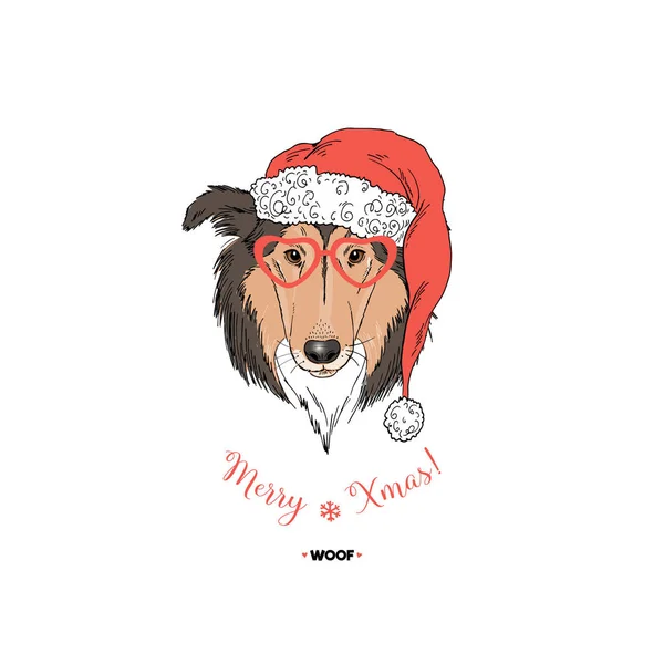 Collie Retrato Perro Sombrero Santa — Archivo Imágenes Vectoriales