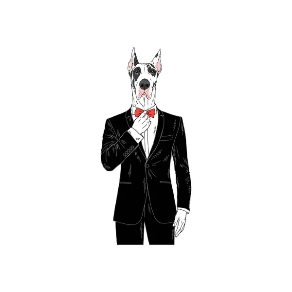 Great Dane Vestida Com Smoking Ilustração Antropomórfica Cães Moda —  Vetores de Stock