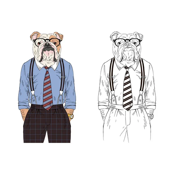 Bulldog Inglés Vestido Con Trajes Negocios Retro Ilustración Animal Antropomórfica — Vector de stock