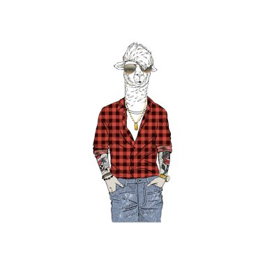 Llama man hipster dressed up in red plaid shirt and jeans clipart
