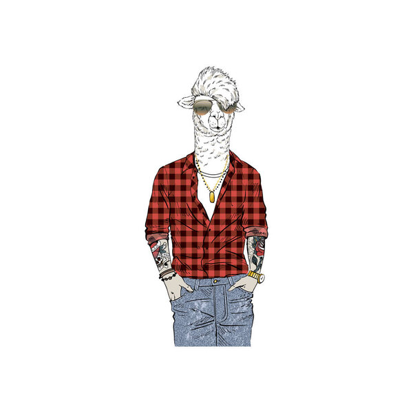 Llama man hipster dressed up in red plaid shirt and jeans