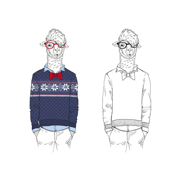 Llama Men Dressed Christmas Jacquard Knitted Sweaters White Background — Stock Vector