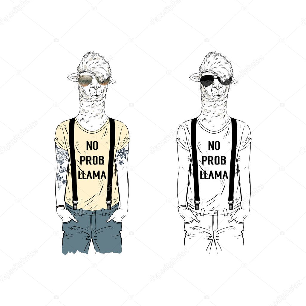 Llama men hipsters dressed up in cool t-shirts with funny quotes on white background