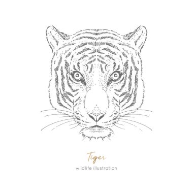 Kaplan simetrik vektör portre çizim