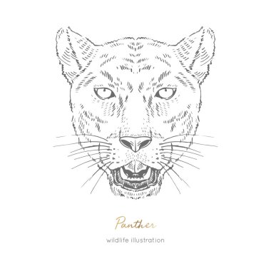 Kara Panter kükreyen simetrik vektör portre örnek.