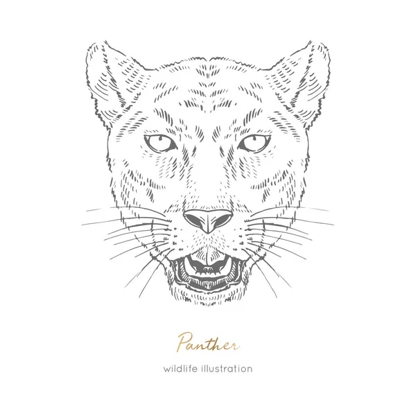 Symmetrical Vector portrait illustration of roaring black panther. — Stock Vector