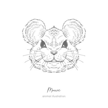 Fare simetrik vektör portre çizim