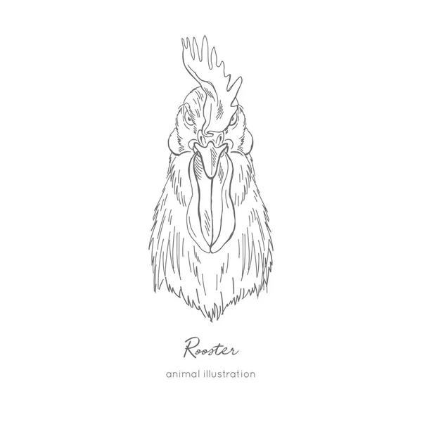 正面酉鳥のベクトルの肖像画イラスト — ストックベクタ