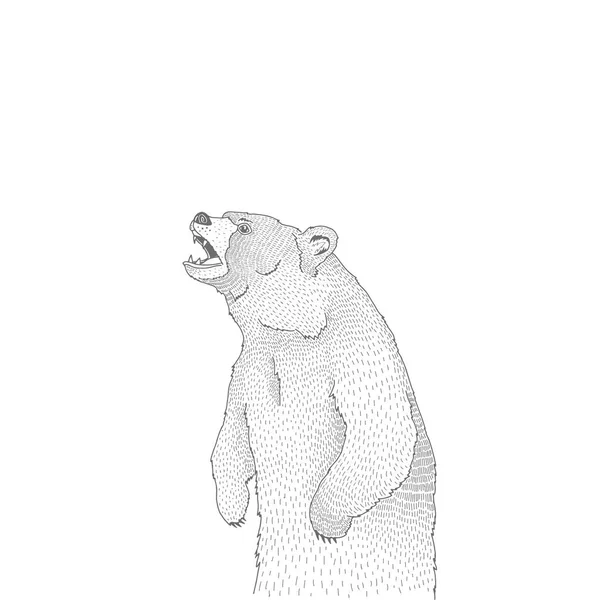 Ilustración decorativa vectorial del rugiente oso pardo animal forestal — Archivo Imágenes Vectoriales