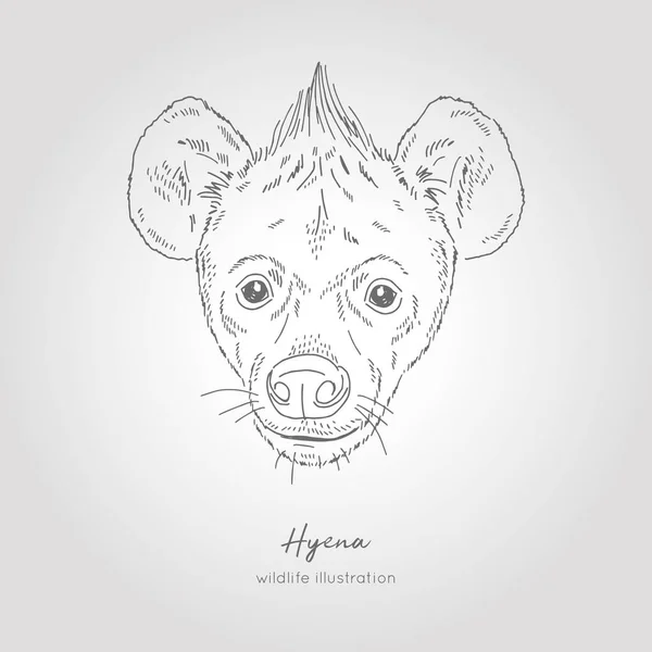 Realistiska handritad vektor skiss av hyena hund huvud. — Stock vektor