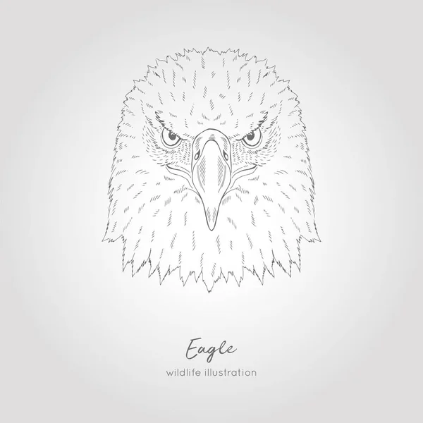 Hand dras vektorillustration av eagle symmetriskt huvud fågel skiss — Stock vektor