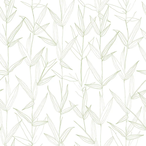 아름 다운 손으로 그린된 식물 벡터 원활한 패턴 대나무와 나뭇잎. — 스톡 벡터