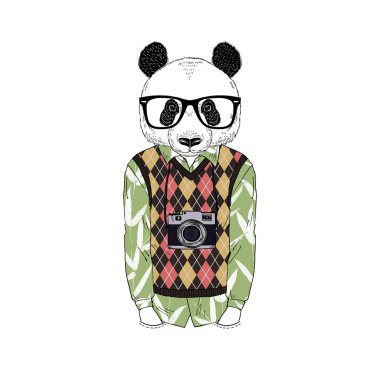 Retro forması giymiş ve argyle Jile örgü fotoğraf makinesi ile ayı Panda adam hipster insanlaşmış.