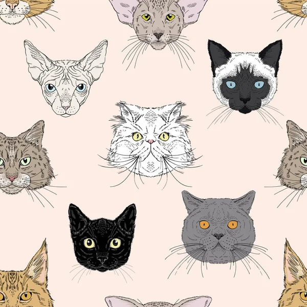 Cats portraits heads of different breeds seamless pattern. Vector hand drawn graphics for textile or paper prints for cats lovers — Stock Vector