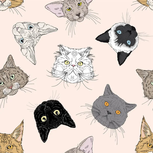 Gatos retratos cabezas de diferentes razas patrón sin costuras. Gráficos dibujados a mano vectoriales para impresiones textiles o de papel para amantes de gatos — Vector de stock