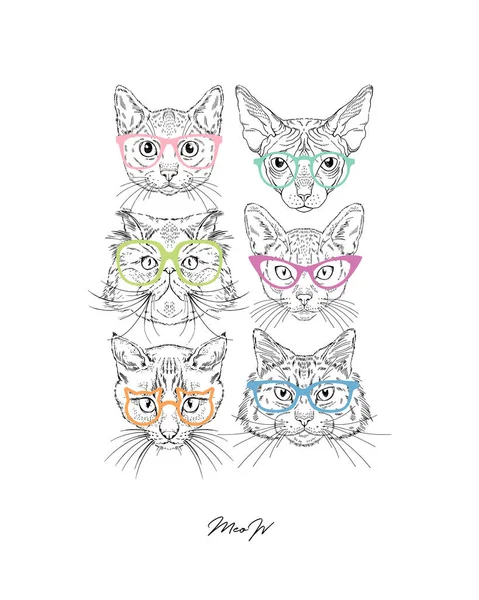 다채로운 안경에 고양이 초상화. 벡터 손으로 그린 고양이 애호가 위한 포스터, t-셔츠 인쇄 및 다른 디자인에 대 한 현실적인 동물 그림 — 스톡 벡터