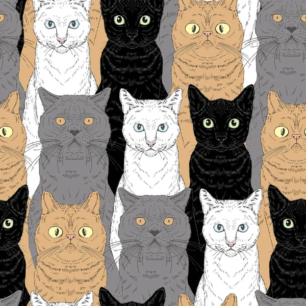別の品種と行のシームレスなストライプ パターンに座って色の猫の肖像画。繊維や紙の描画されたグラフィックス出力の猫愛好家のための手をベクトルします。 — ストックベクタ