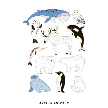 Arctic Animale vektör seti.
