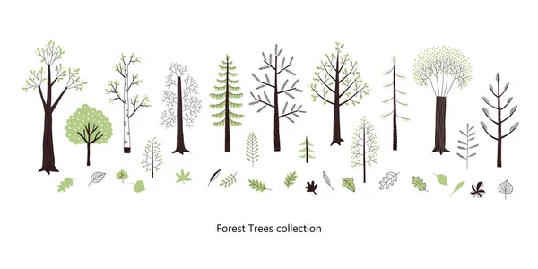 Arbres forestiers et feuilles vectoriel clip-art set . — Image vectorielle